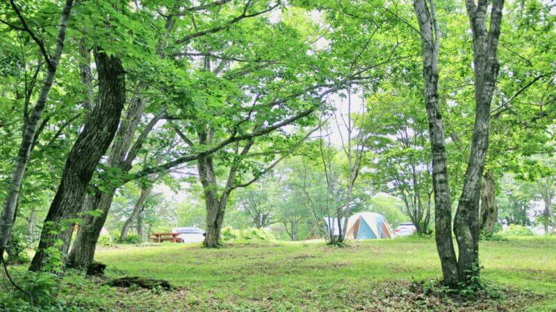 神奈川県のキャンプ場アイキャッチ