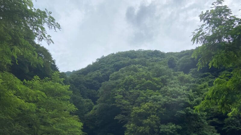 玉川キャンプ村から見える景色